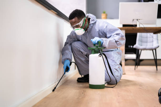 Best Bed Bug Extermination  in Prescott Valley, AZ